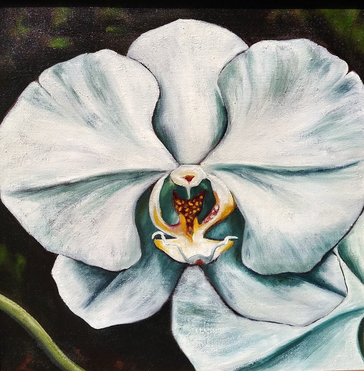 Moth Orchid I by Lorie Schackmann