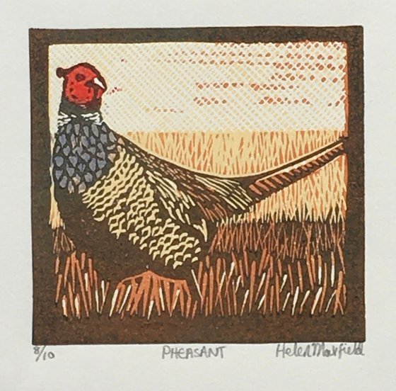 Pheasant