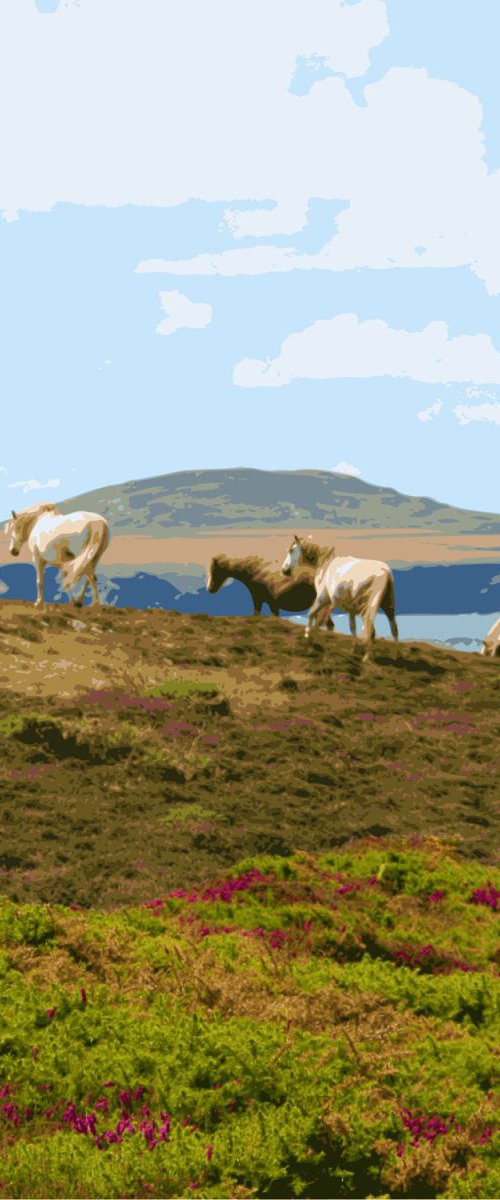 Coastal Ponies #2 by Keith Dodd