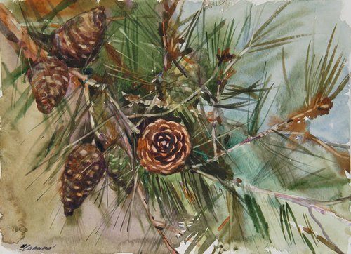 Pine branch by Elena Sanina