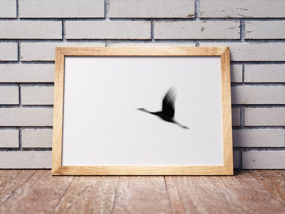 Crane(s) I | Limited Edition Fine Art Print 1 of 10 | 45 x 30 cm