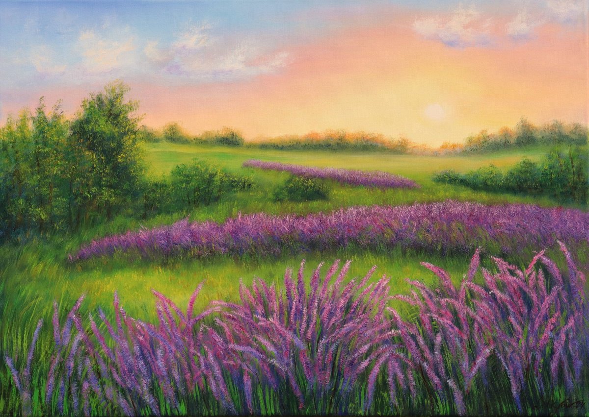 Lavender field in Provence by Ludmilla Ukrow