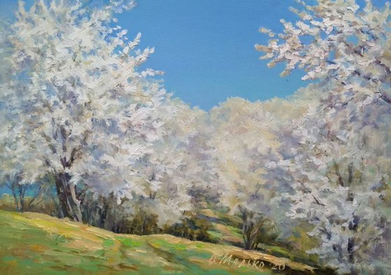 Spring views. Sky blue / Blooming orchard White blue painting Original oil landscape painting