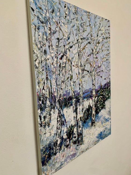 Birch trees in winter