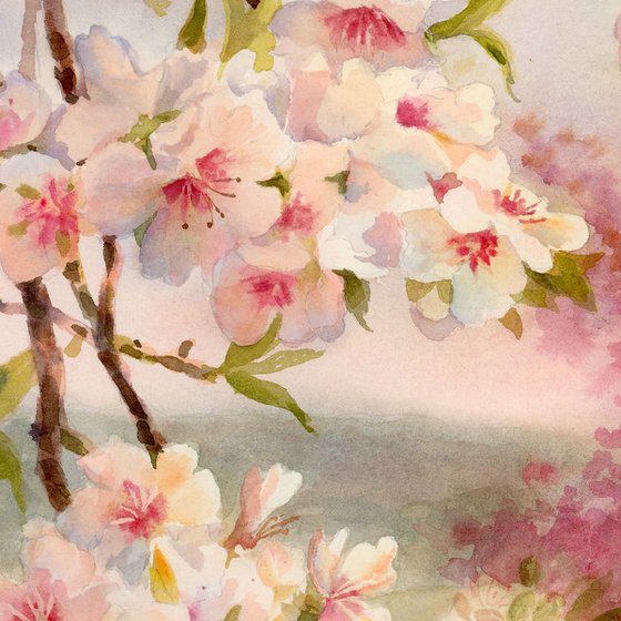 Dreamers of the Galilee Hills