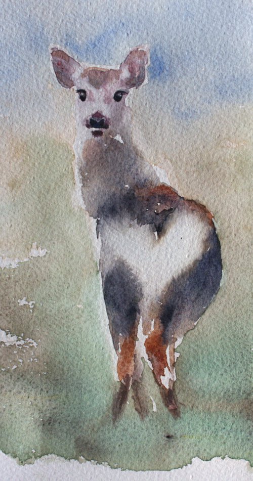 Roe Deer /  ORIGINAL PAINTING by Salana Art Gallery