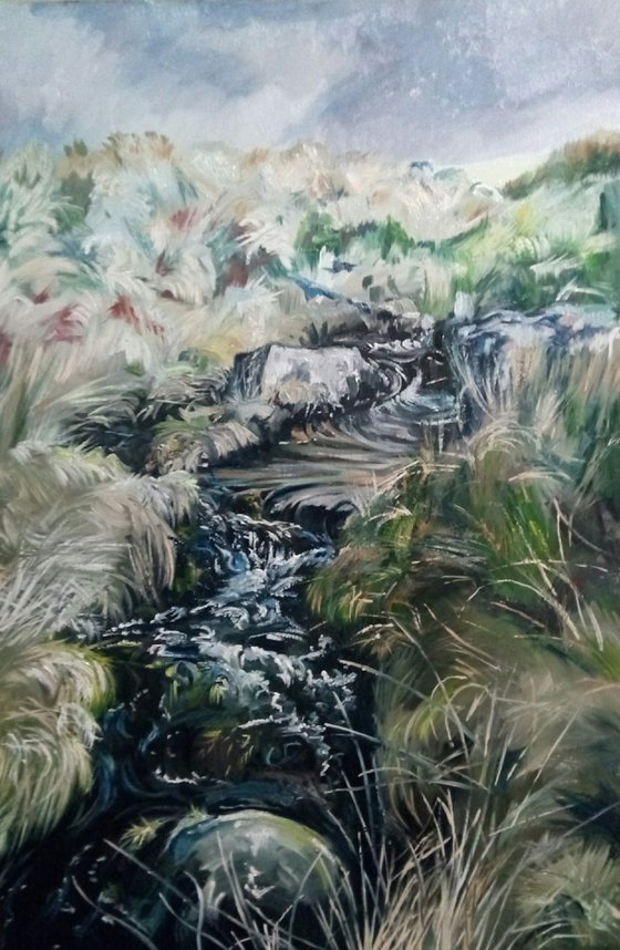 Dartmoor Stream