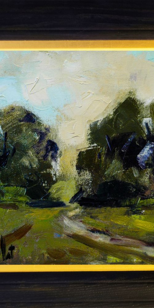 Lane in New South Wales by Andre Pallat