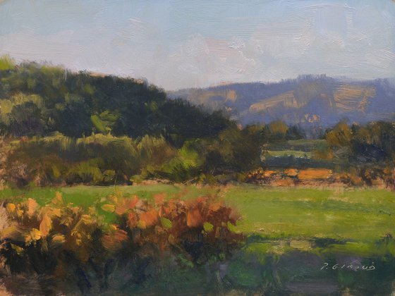 Autumnal Evening Light