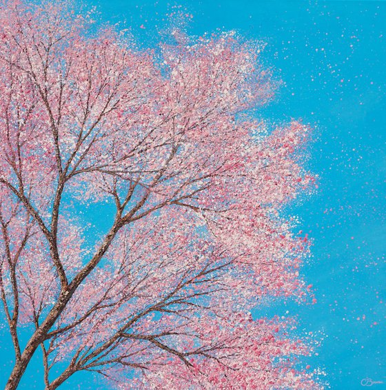 Cherry blossom dances in the blue, blue sky | 76cm x 76cm