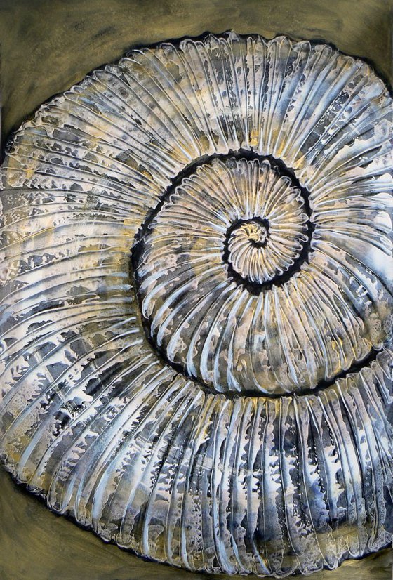 Ammonite (textured artwork of a fossil ammonite) #2