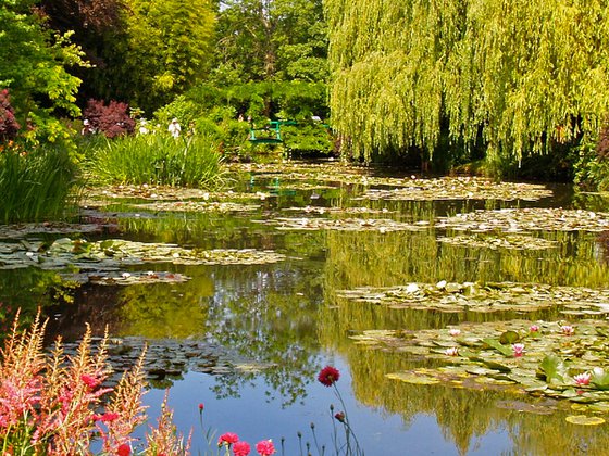 Le jardin d'eau en été