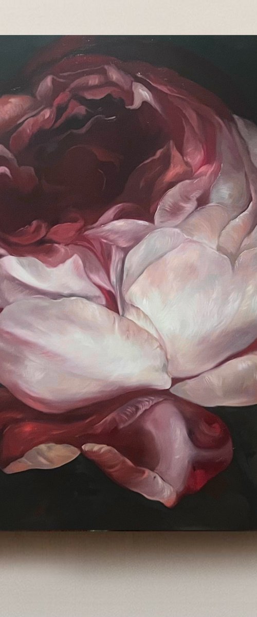 Old Holland flower 9 by Rosi Roys