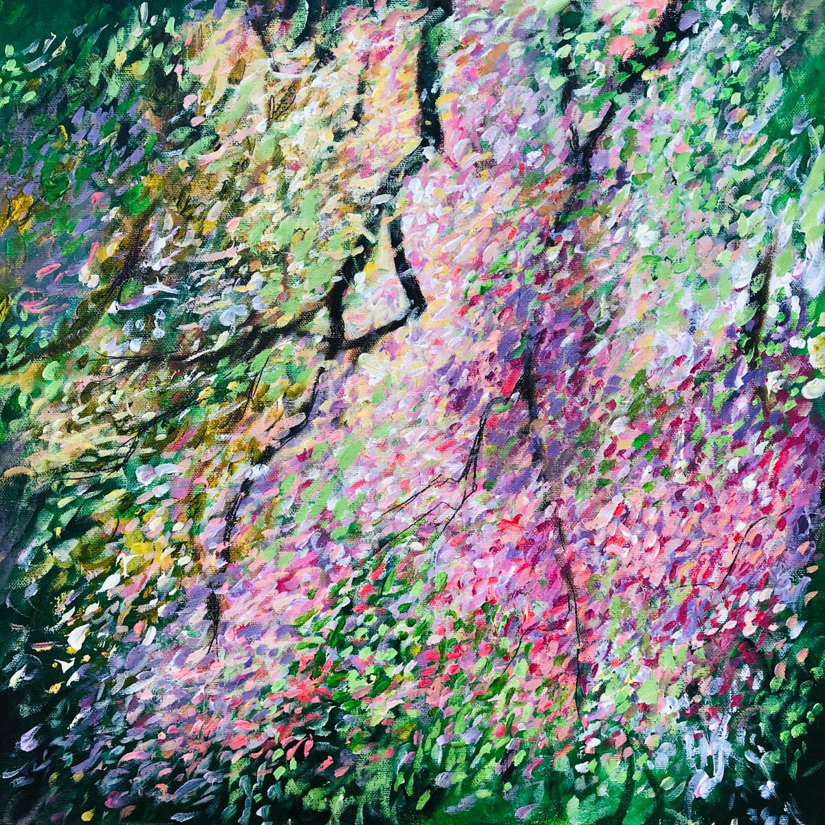  Spring Blossom By Shabs Beigh, 16 X 16, Artwork For Sale On Artfinder