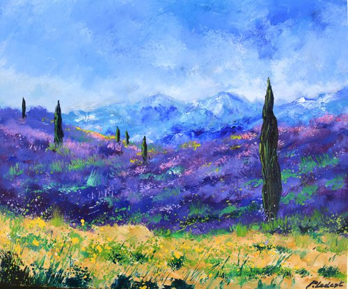 Lavender in Provence - 6524 by Pol Henry Ledent