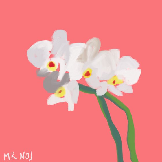 Orchidea II