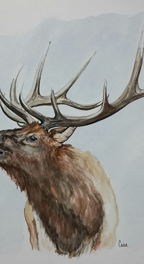Bull Elk by Katrina Case