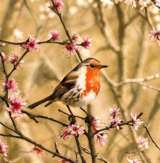 Red Robin II