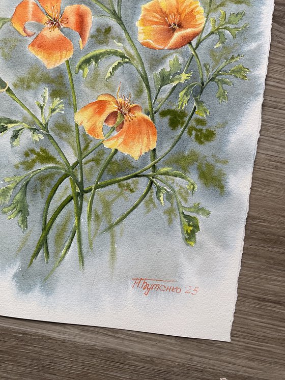 California poppies in vintage style, flowers