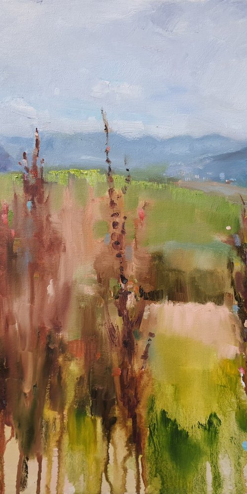 Tall grasses by Olha Laptieva