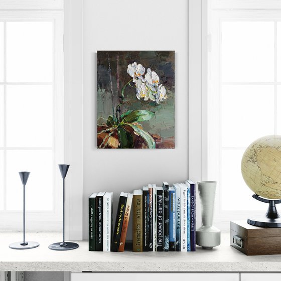 Blooming Orchid