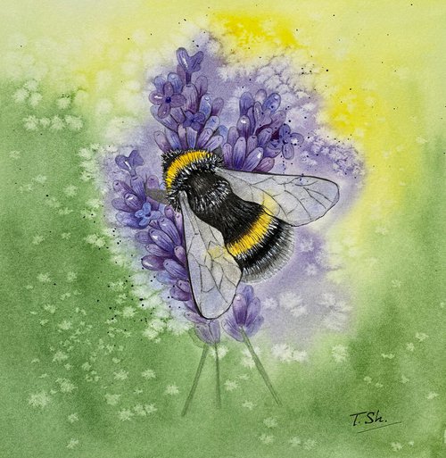 Bee and lavender by Tina Shyfruk