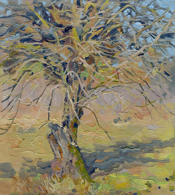 Apple tree. April