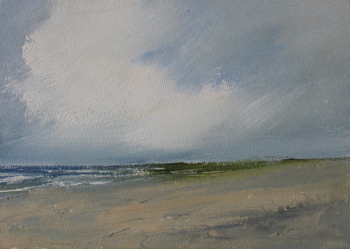 Along the shore by John Halliday