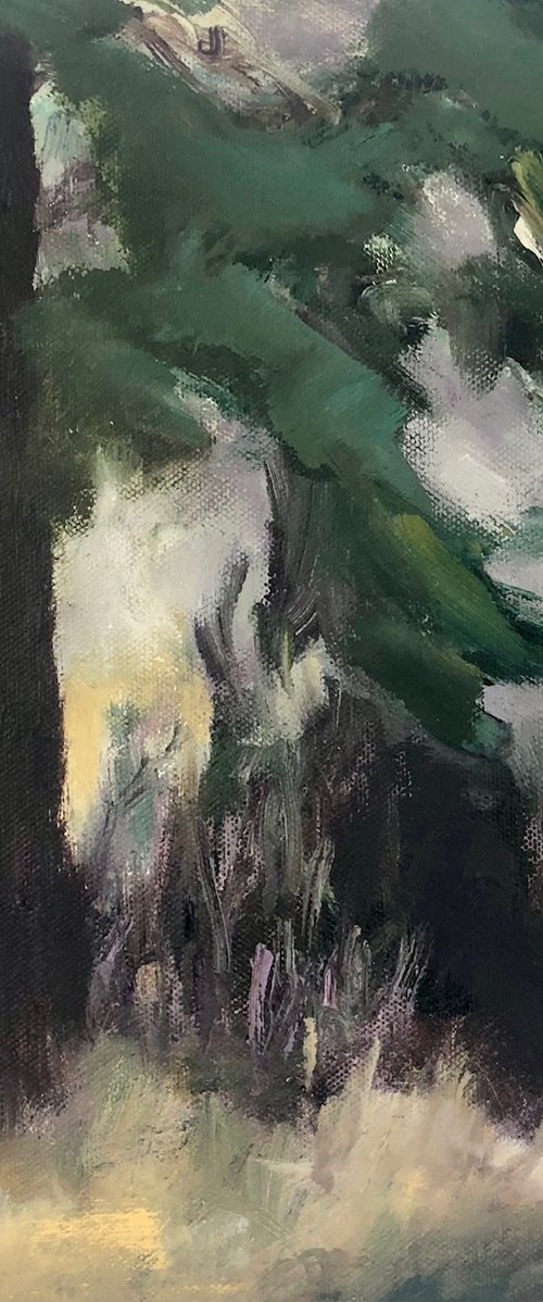 A Watery Sun by Joanna Farrow