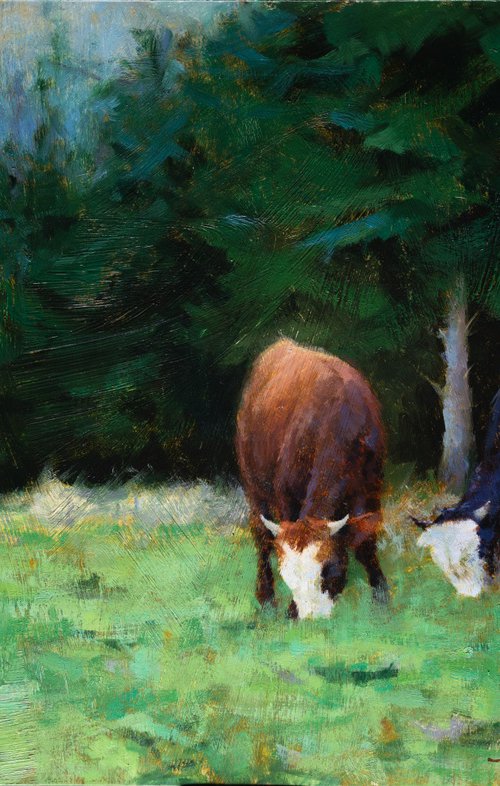 Summer Walk In Kryvopillya by ROSTYSLAV MALYSH