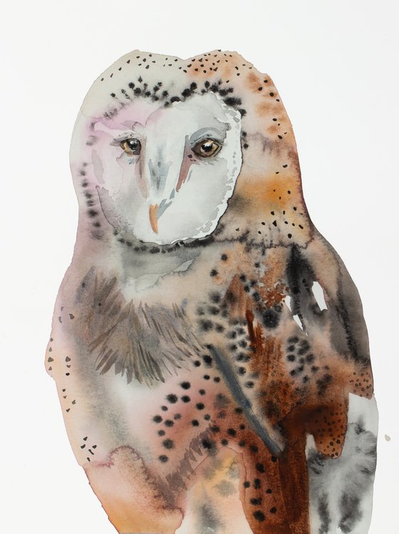 Barn Owl No. 8