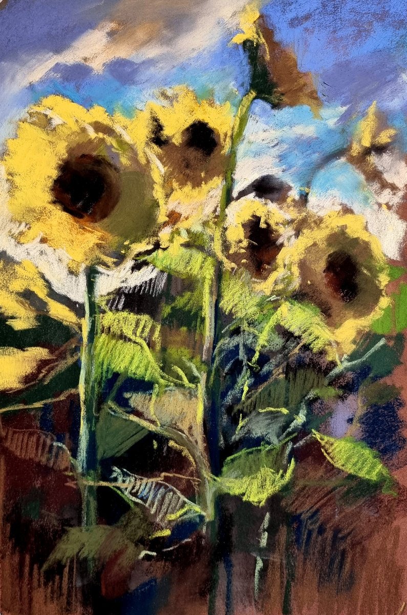 Sunflowers -7 by Elena Genkin