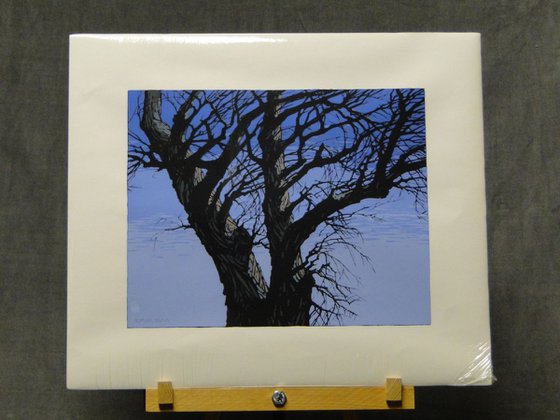 Black Willow