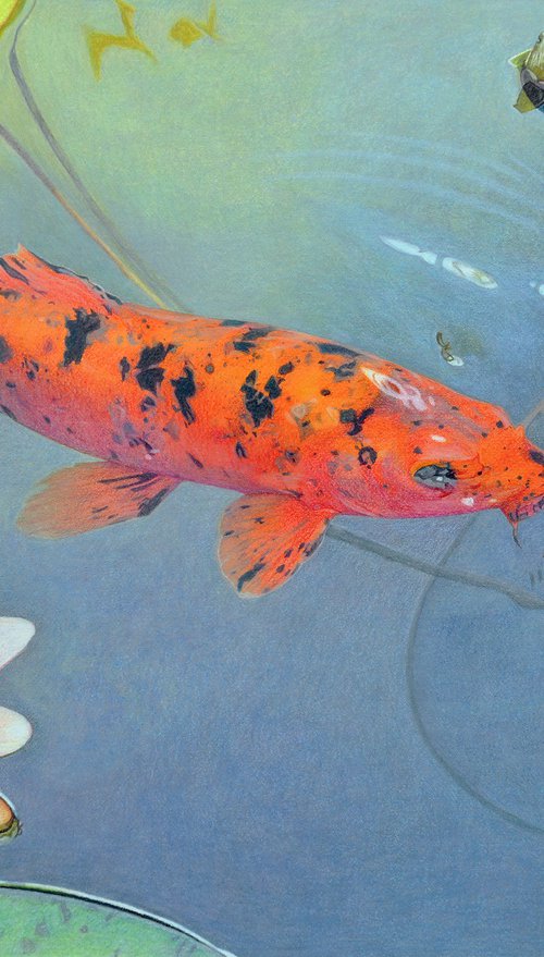 Peace Underwater by Paramjeet Kaur