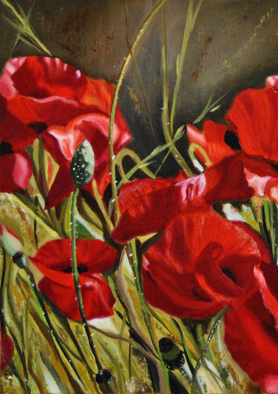 Poppies, Original Oil Painting