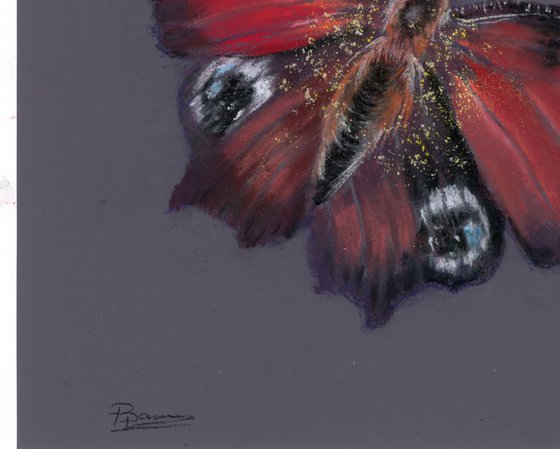 Butterfly (pastel)