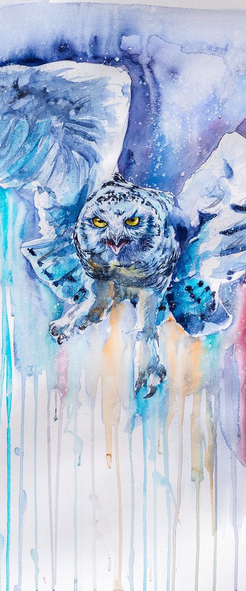 Snowy owl flying by Kovács Anna Brigitta
