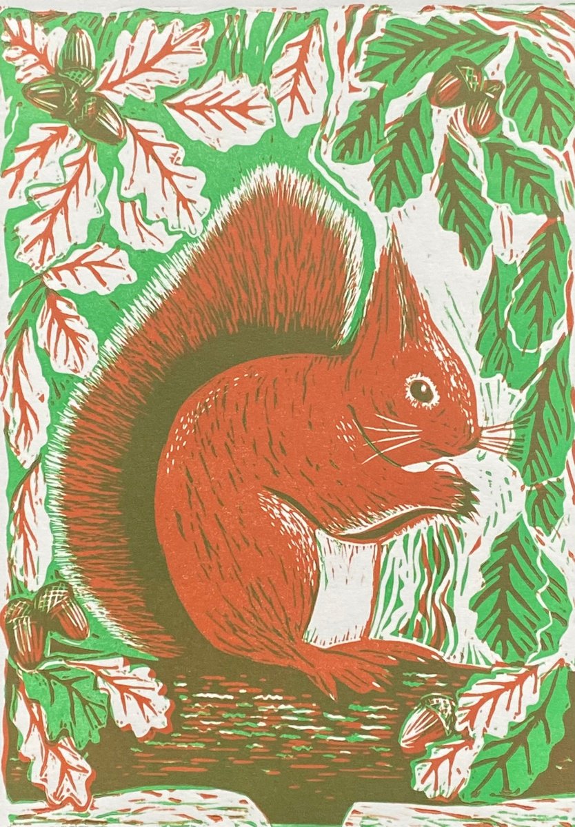 Limited edition handmade linocut. Red Squirrel 7/95 by Jane Dignum