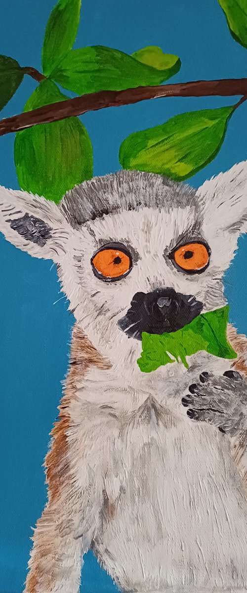 Lemur by Corinne Hamer