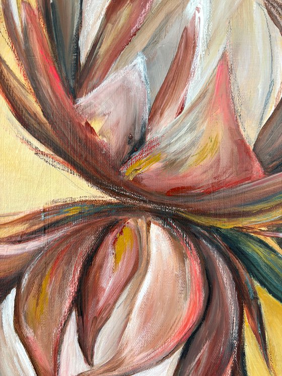 Proteas in Warm Light