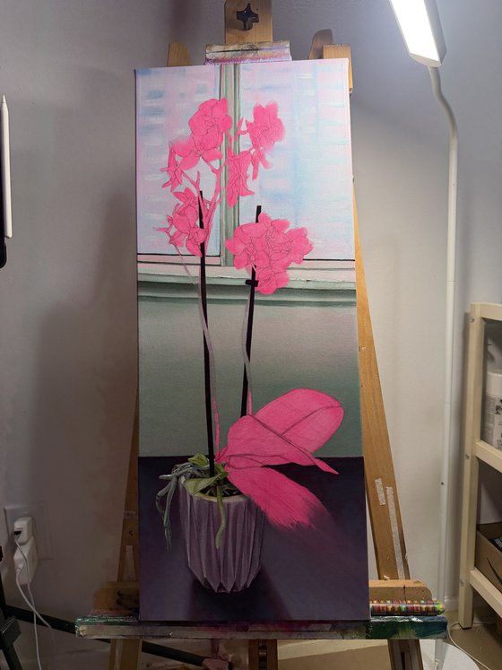 Orchid
