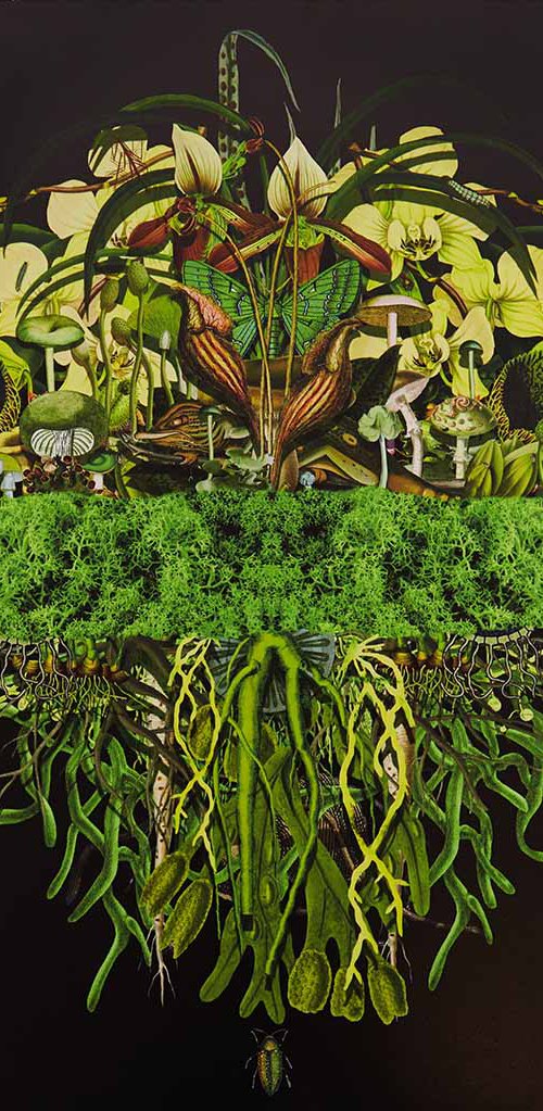 Botanical Thoughts: Millpond by Jana Nicole