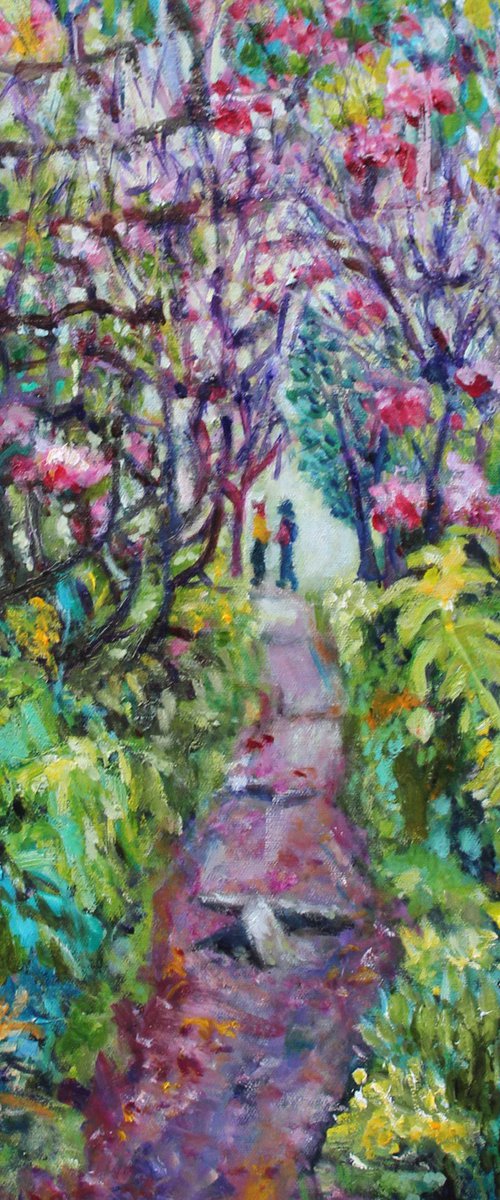 CAMELLIA PATHWAY by Maureen Finck