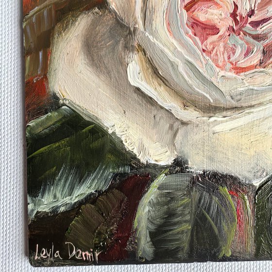 Pink roses still life