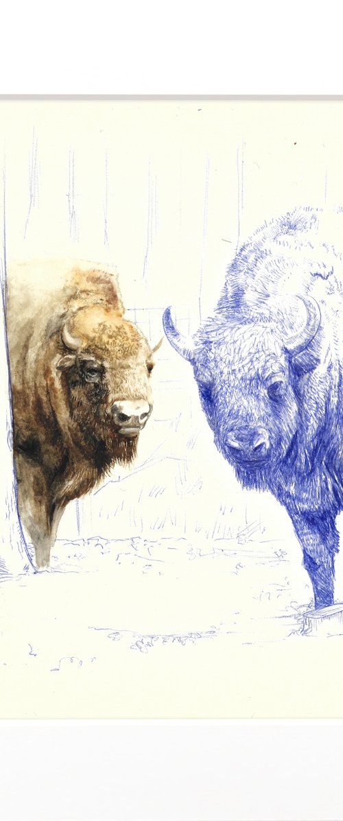 Iso Biro (6) by Joshua Daniels