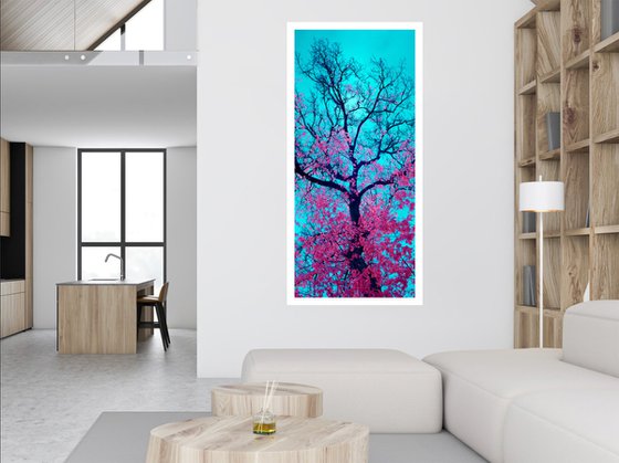 Chromatic Canopy