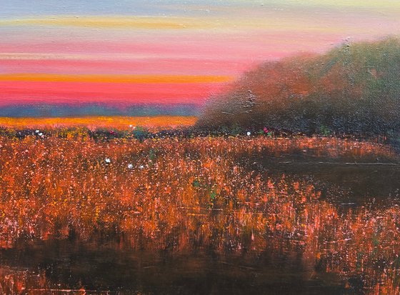 Watching the Last Light