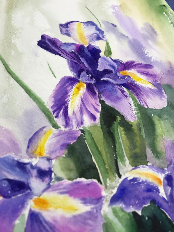 Irises