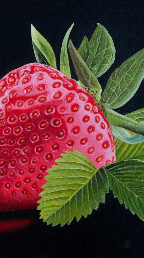 Strawberry by Dietrich Moravec