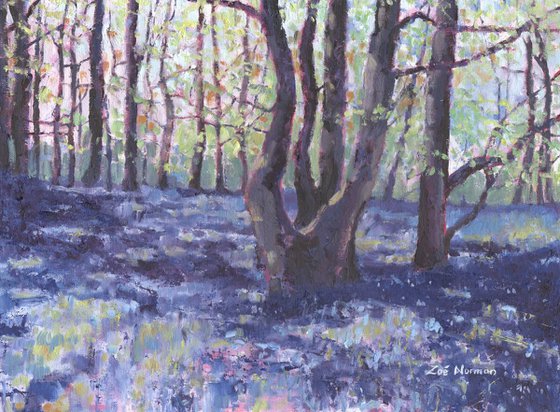 Abstract Bluebell Wood